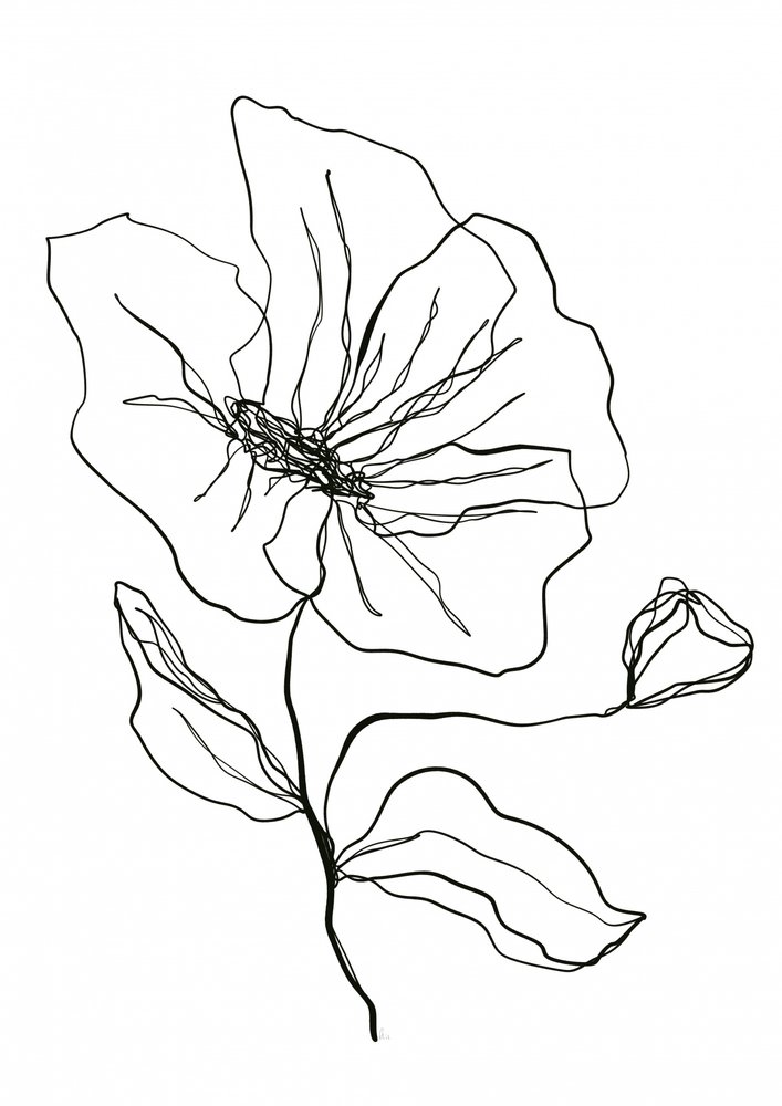 Delicato schizzo di un fiore da Ankie Kooi