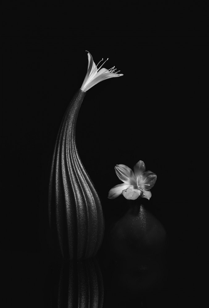 Elegante natura morta floreale da Anna Qu