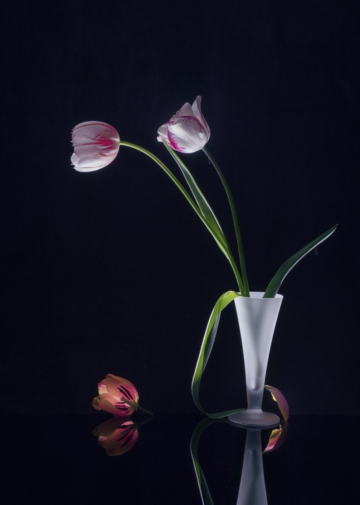 Elegante natura morta con tulipani da Anna Qu