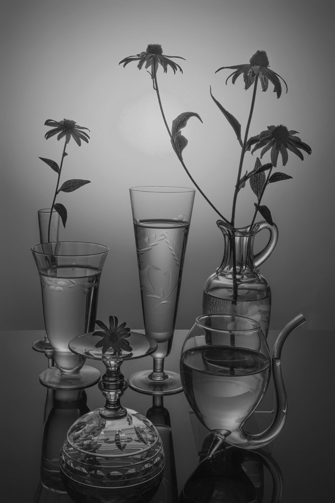 Fiori monocromatici e vetro da Anna Qu