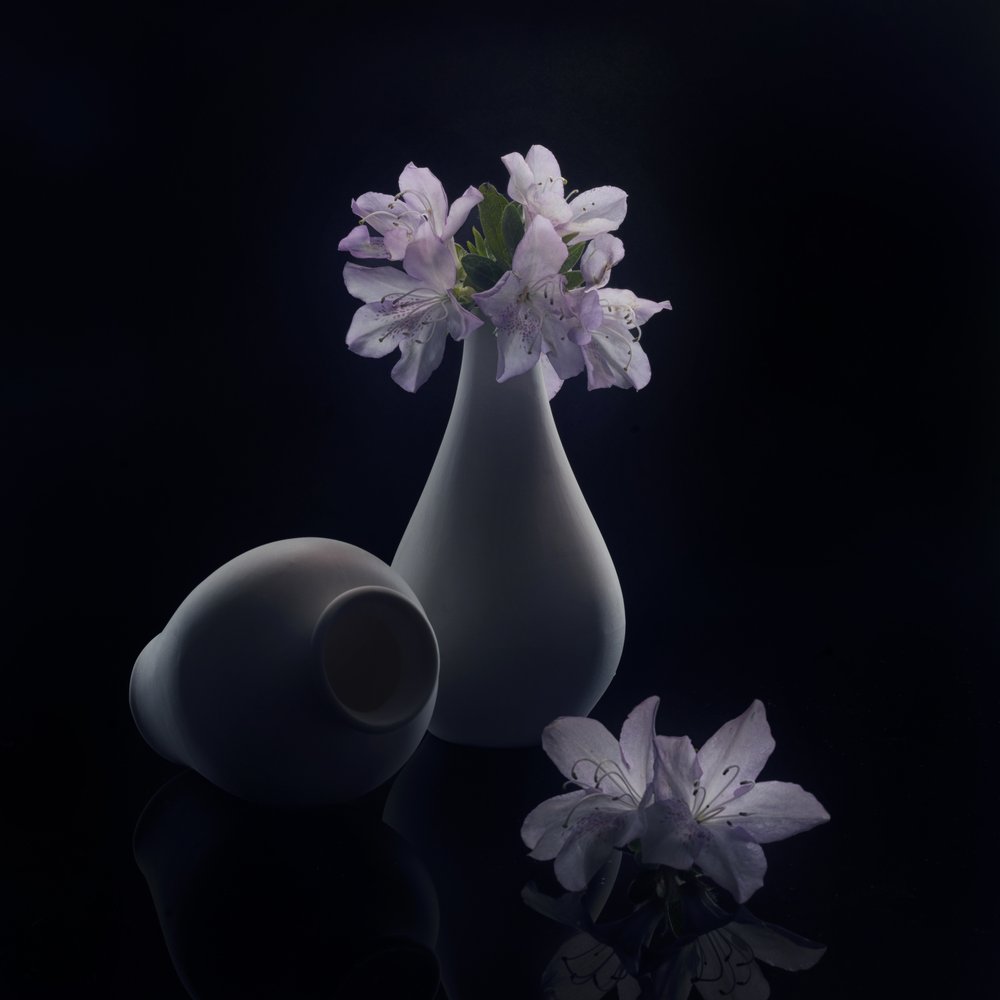 Fiori e vasi di Moody da Anna Qu