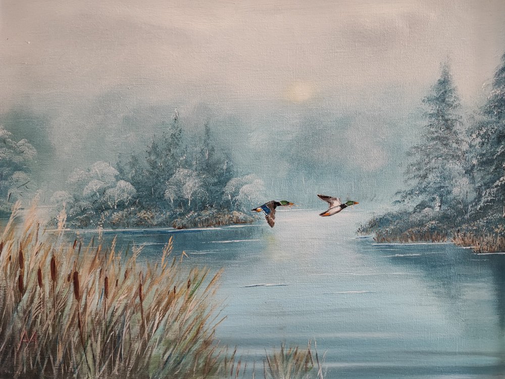 Anatre sul lago invernale da Annette Armitage
