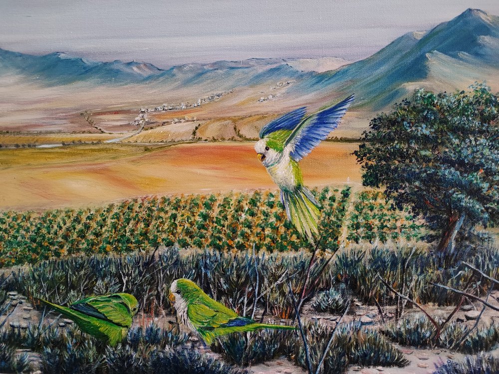 Pappagalli verdi in volo da Annette Armitage