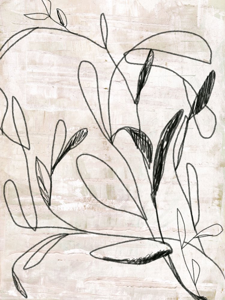 Disegno botanico al tratto da Annick