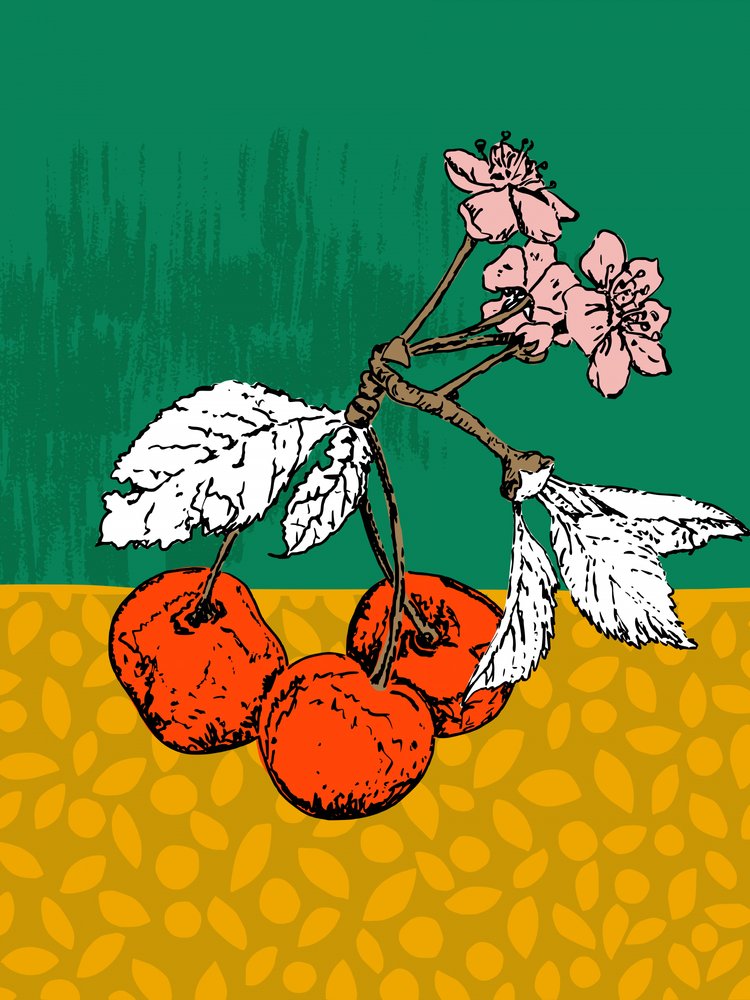 Fiori di ciliegio da Annick