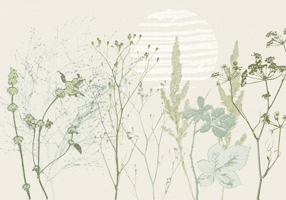 Alba botanica dai toni tenui da Annick