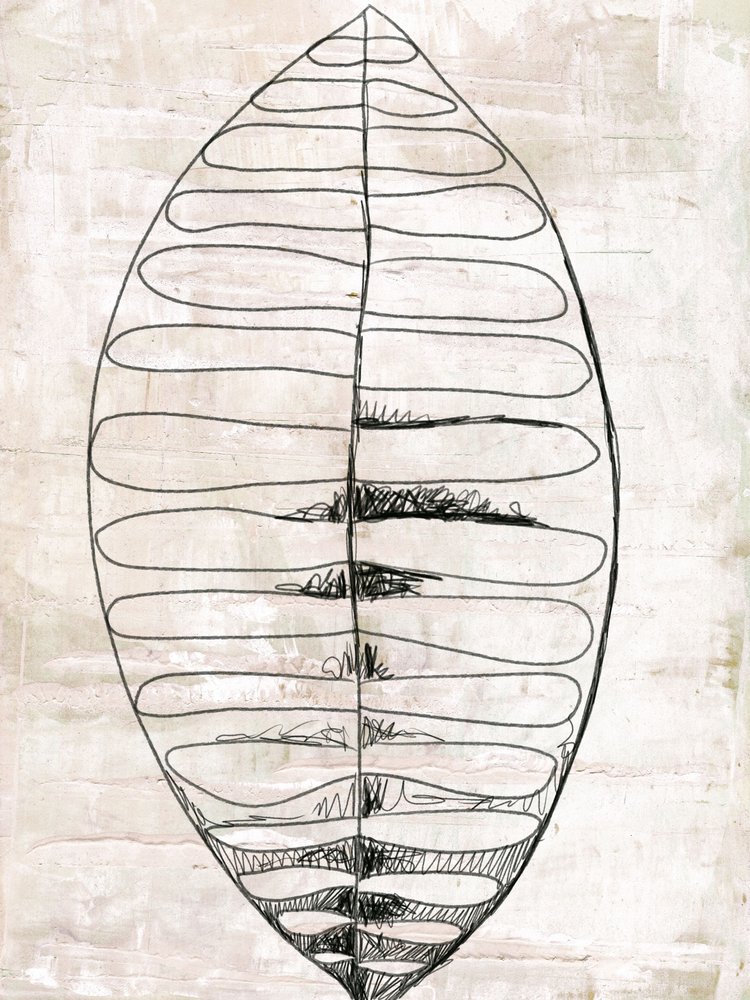 Disegni al tratto di foglie biologiche da Annick