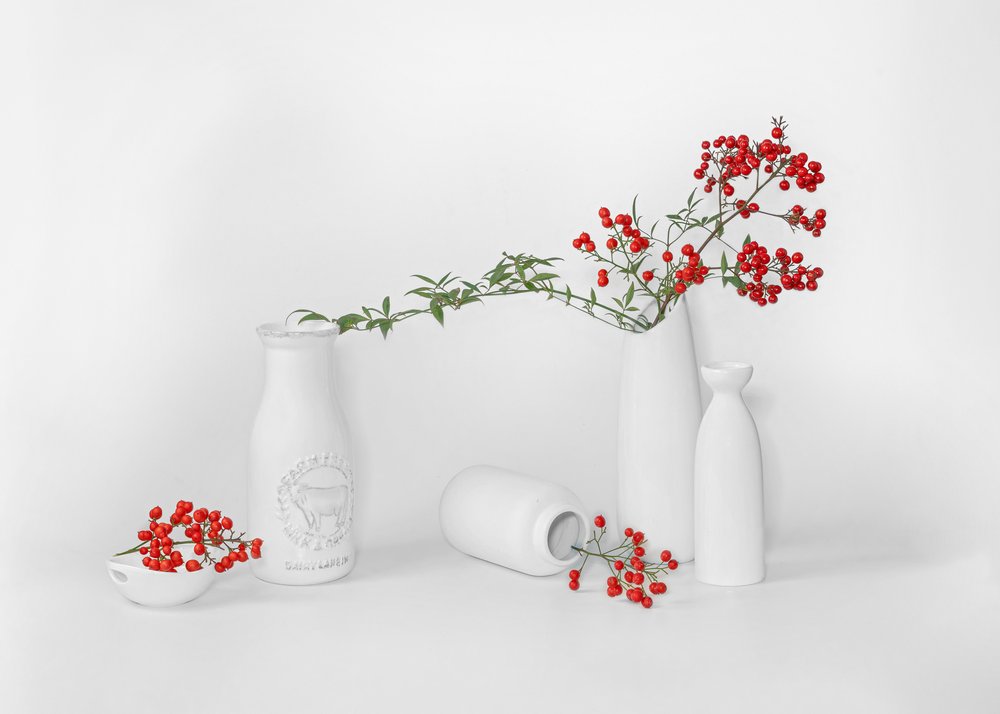 Esposizione minimalista di frutti rossi da Annie Poreider