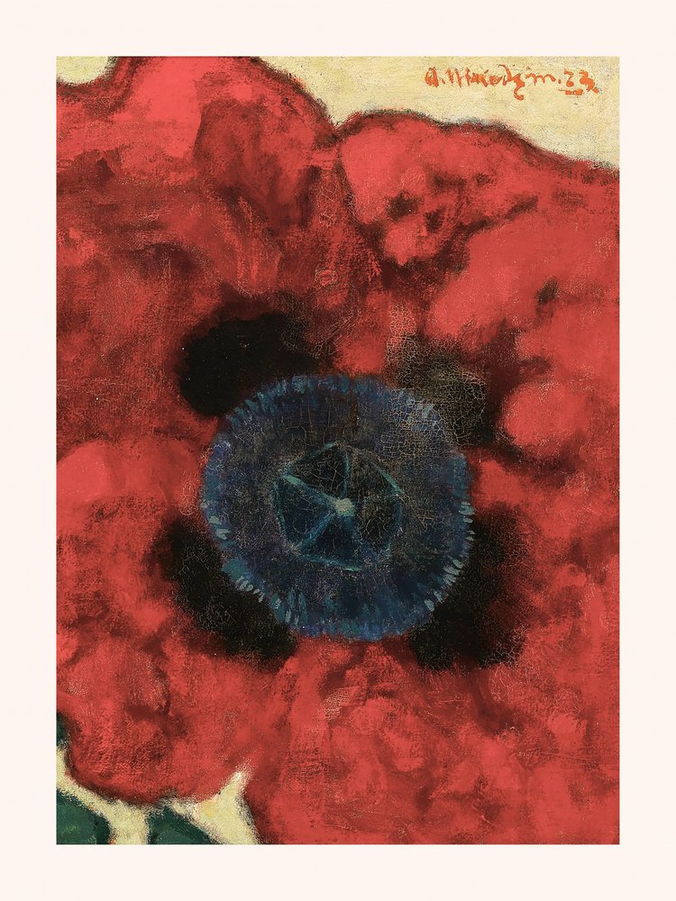 Artur Nikodem - Fiore di papavero con bordo bianco da Artur Nikodem