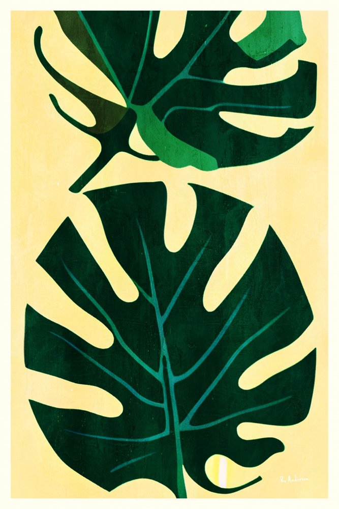 Foglie di Monstera tropicale da Bo Anderson