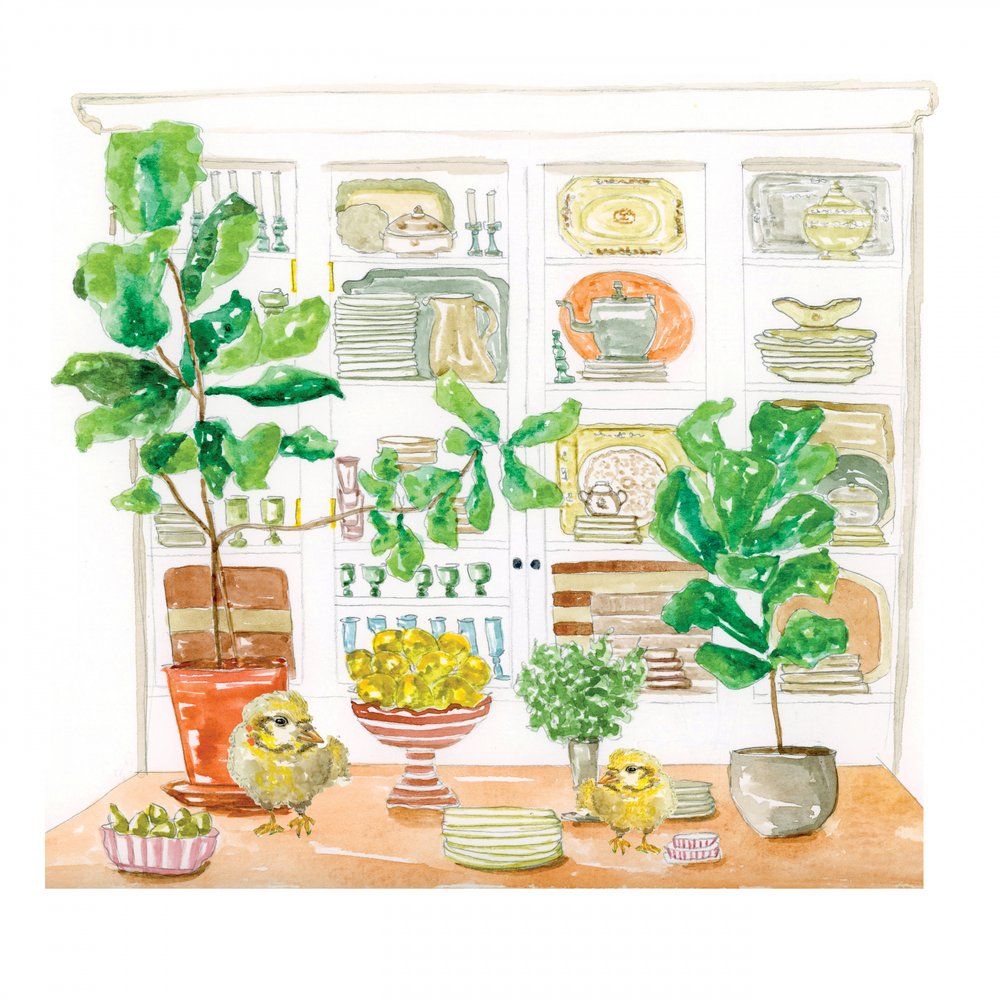Ragazze in cucina da Breanna Megan Studio