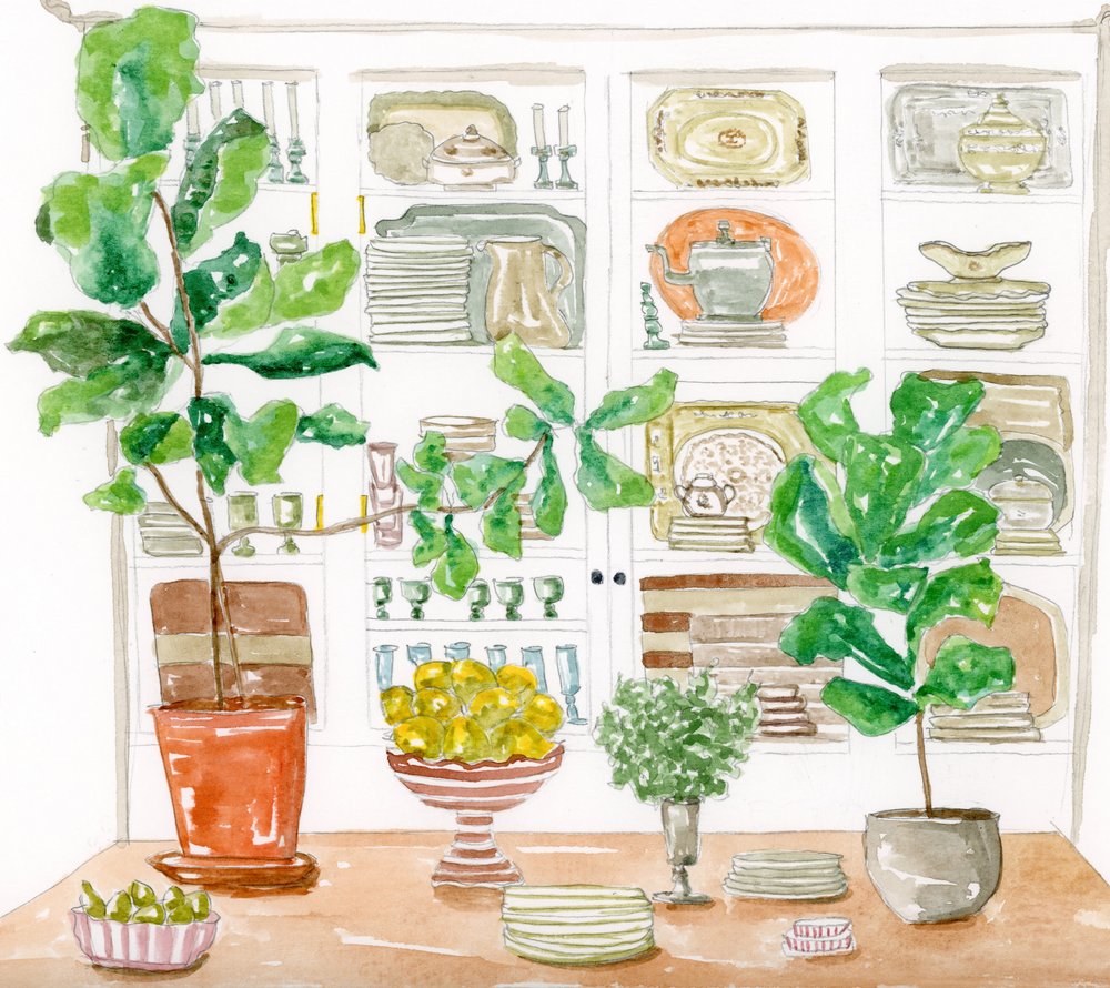 Piante da cucina da Breanna Megan Studio