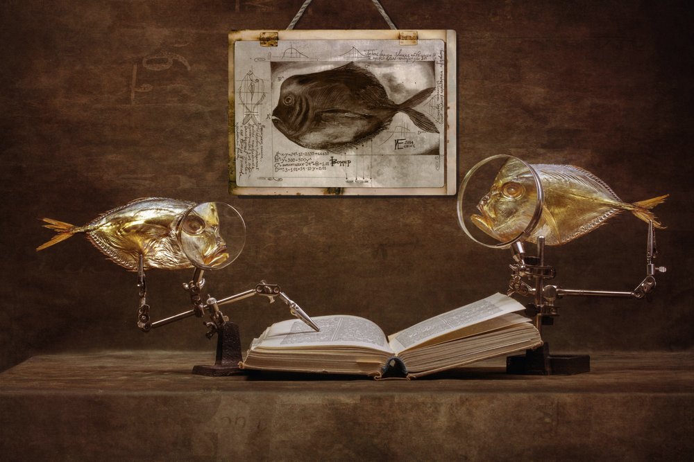Curiosi studiosi pesci da Brig Barkow