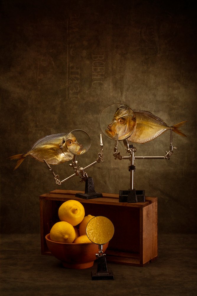 Curioso studio di pesce da Brig Barkow