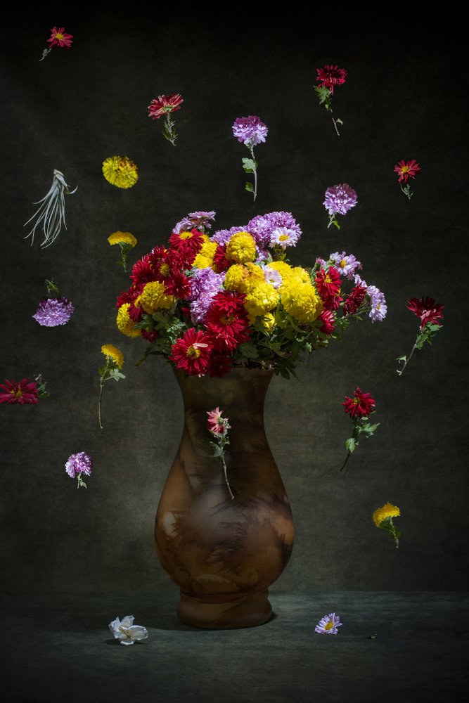 Fiori galleggianti dai colori vivaci da Brig Barkow