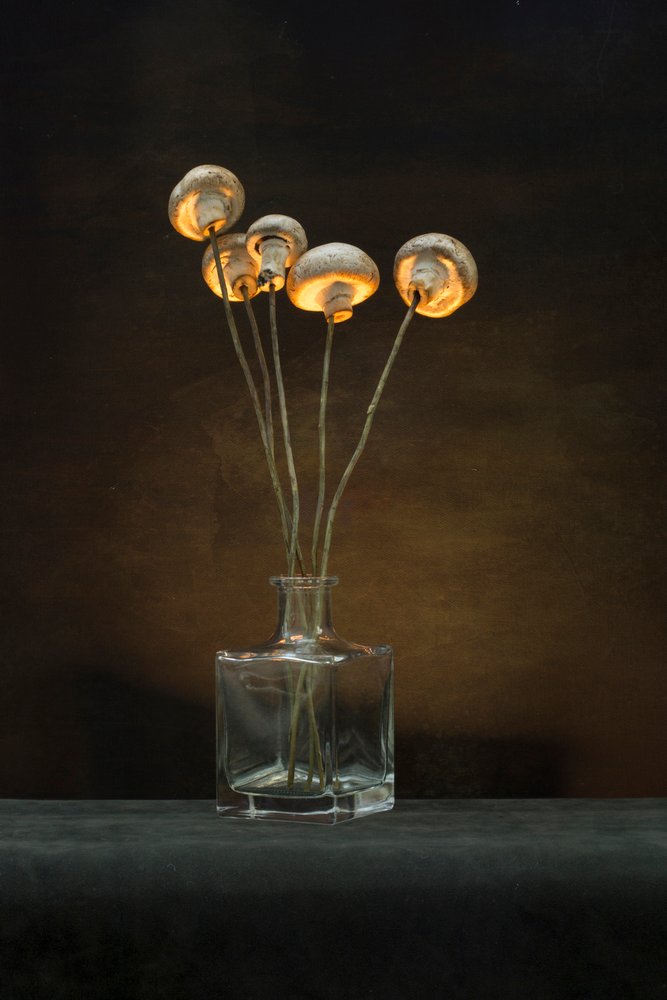 Vaso a forma di fungo illuminato da Brig Barkow