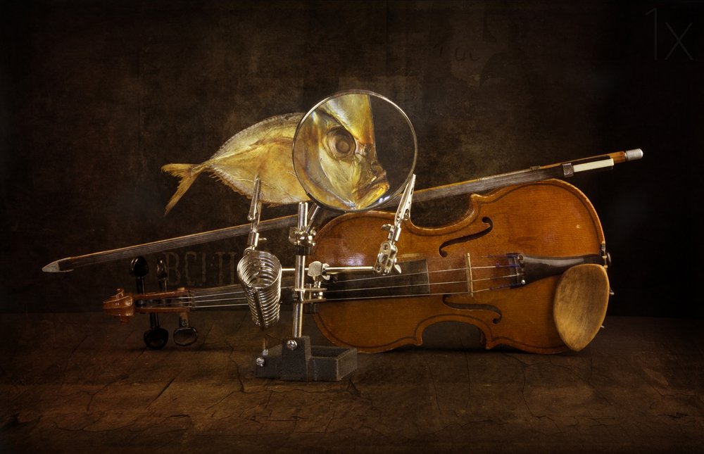 Pesce ingrandito e violino da Brig Barkow
