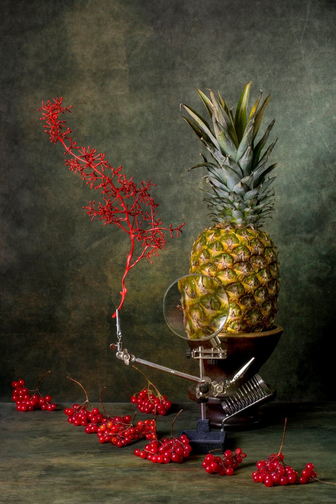 Natura morta con ananas ingrandito da Brig Barkow