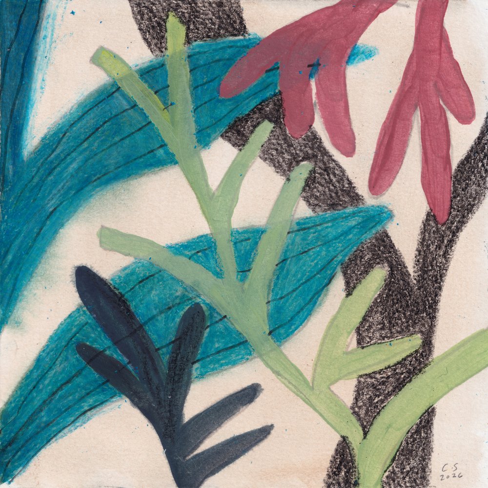 Fogliame astratto colorato da Catalina Somolinos