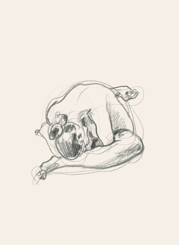 Figura rannicchiata e silenziosa da Catalina Somolinos