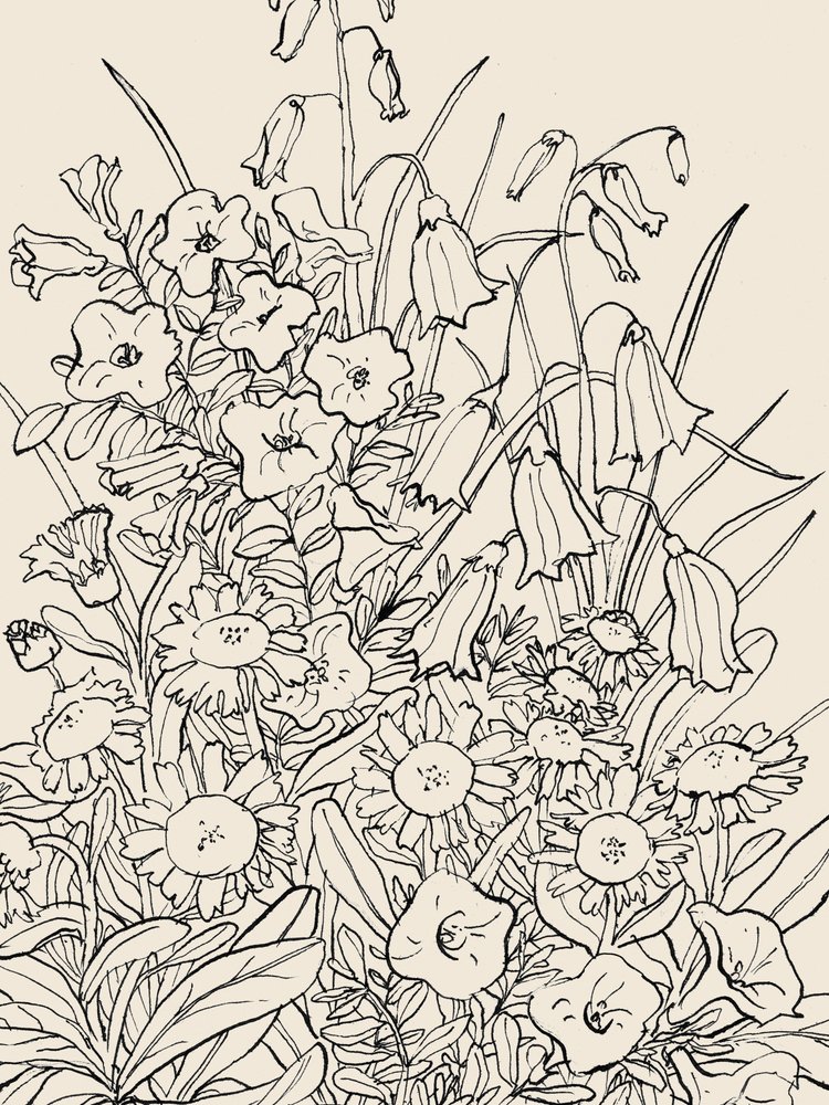 Fiori selvatici da Catalina Somolinos