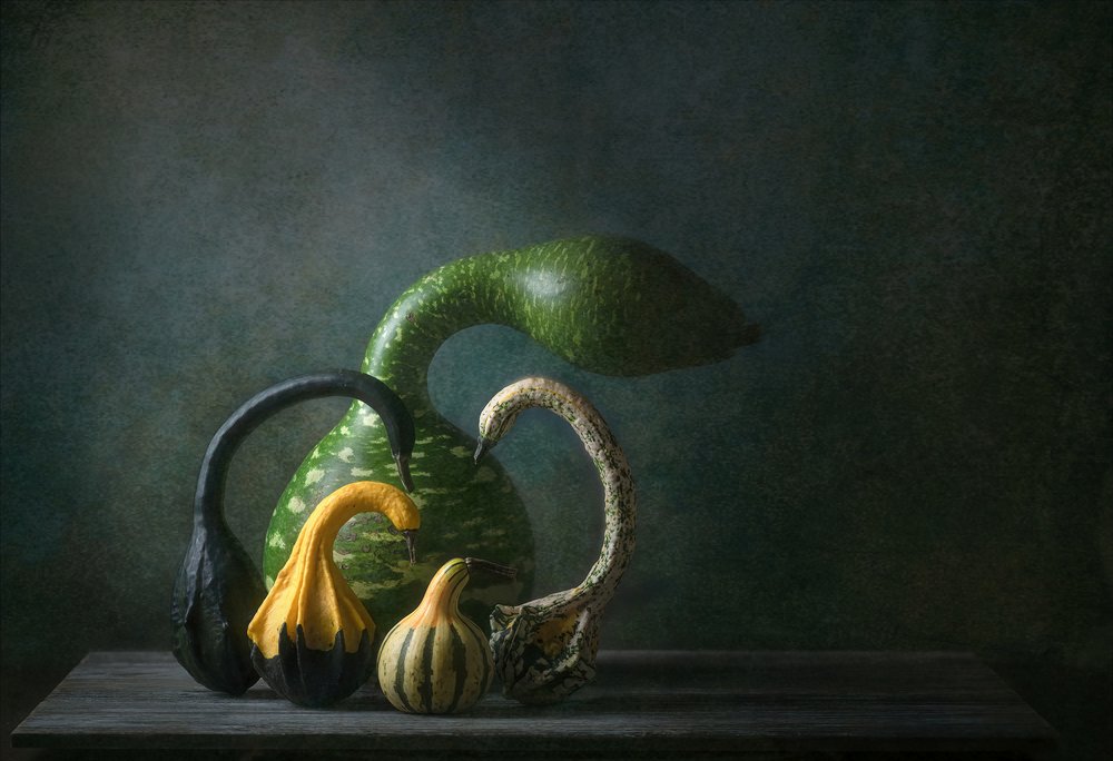 Natura morta con zucche autunnali da Catherine Wang