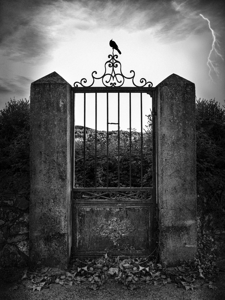 Corvo del Fulmine della Porta Oscura da Christian MARCEL
