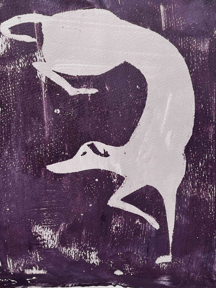 Greyhound bianco dinamico da Christina Misuro