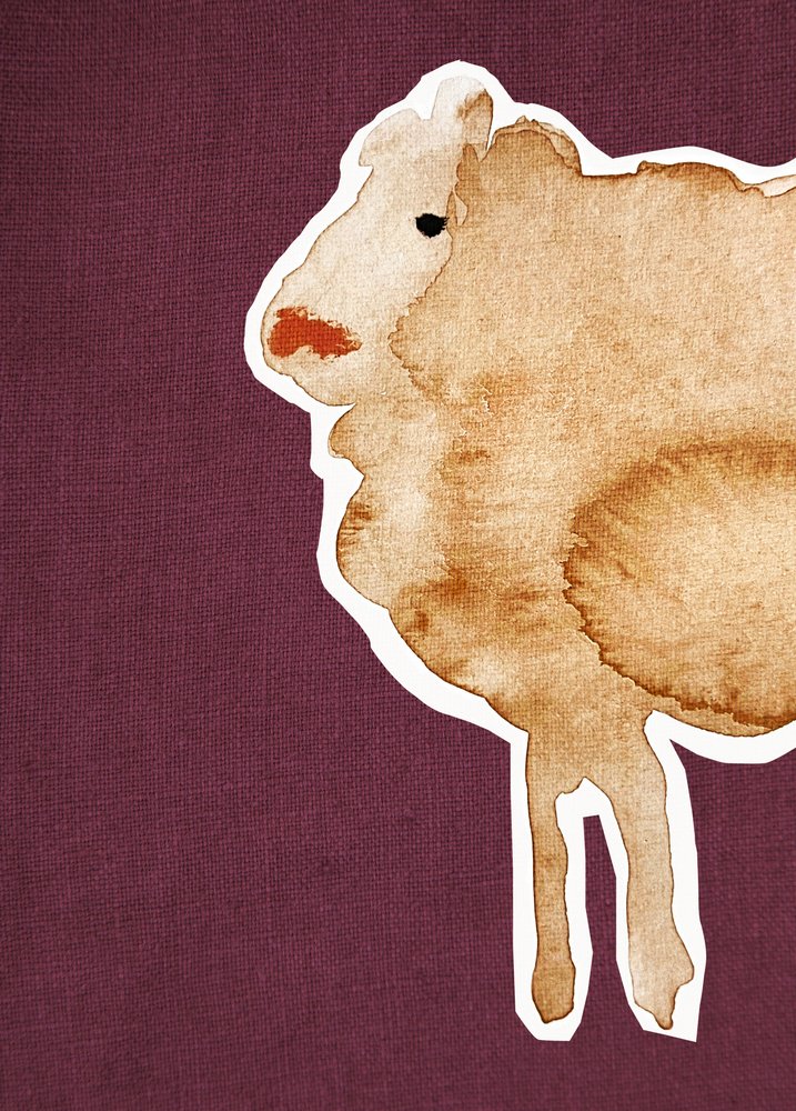 Pecora Maroon1 da Christina Misuro