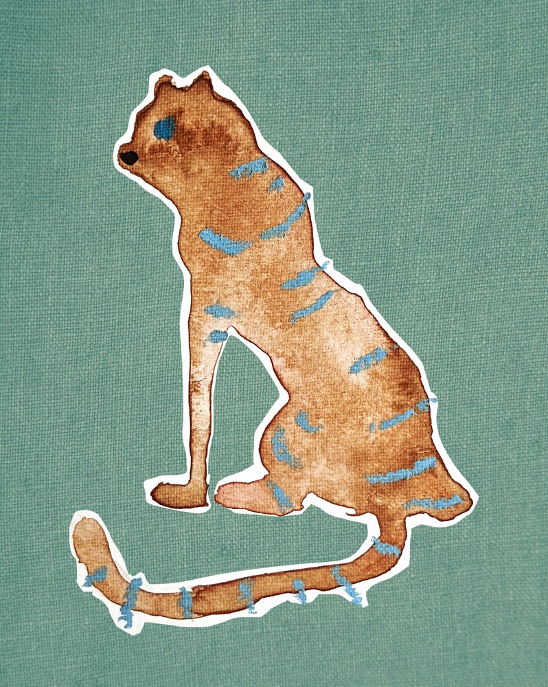 Blu tigre da Christina Misuro