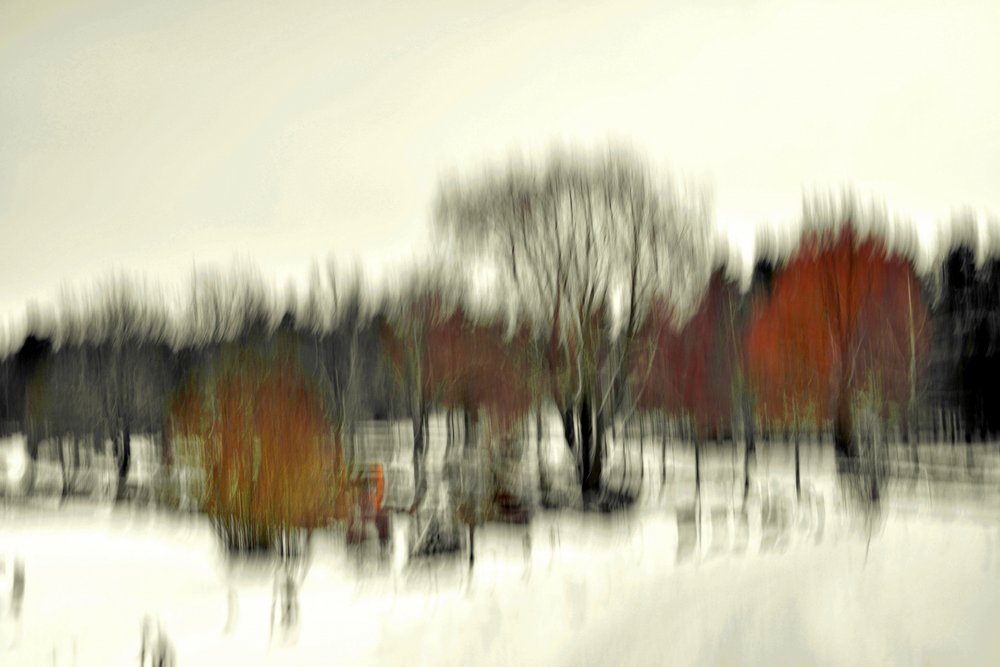Foresta invernale (astratta) da Christina Sillen