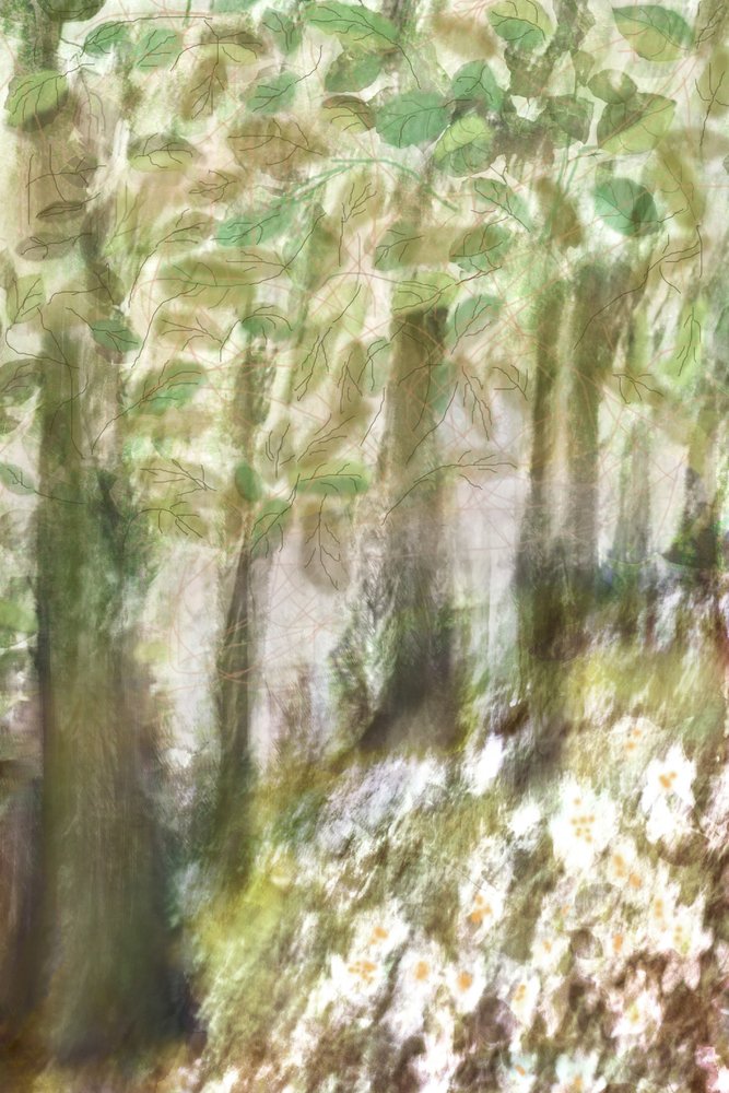 Fiori da foresta da sogno da Christina Sillen