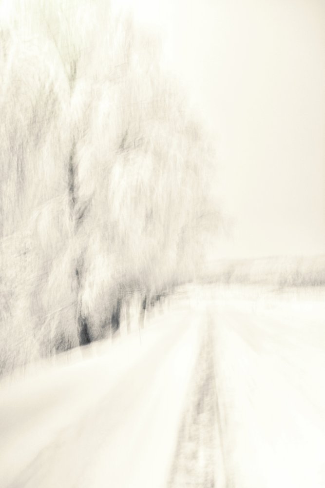 Sentiero invernale da sogno da Christina Sillen