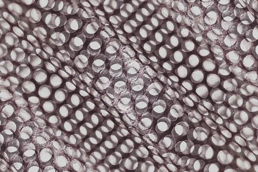 Gioco di ombre geometriche da Christina Sillen