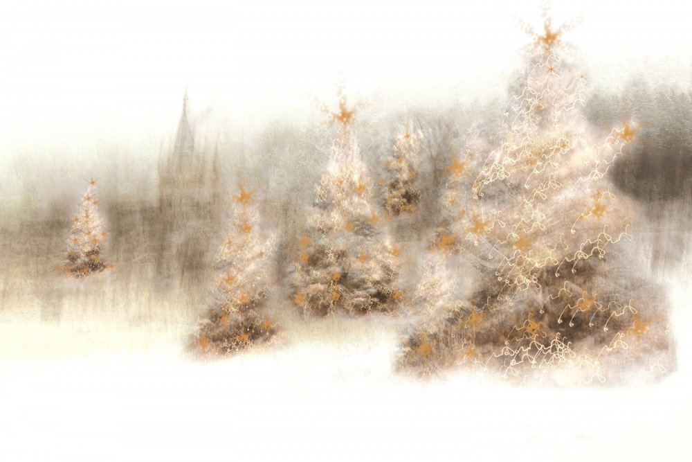 Alberi magici d