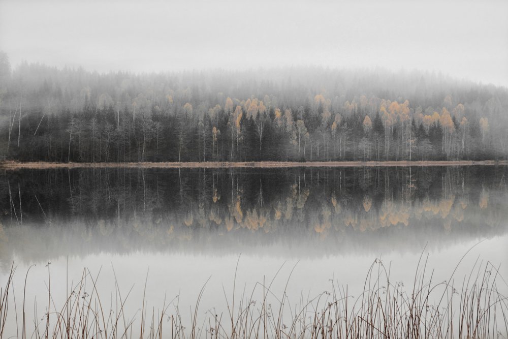 Il lago autunnale avvolto nella nebbia da Christina Sillen