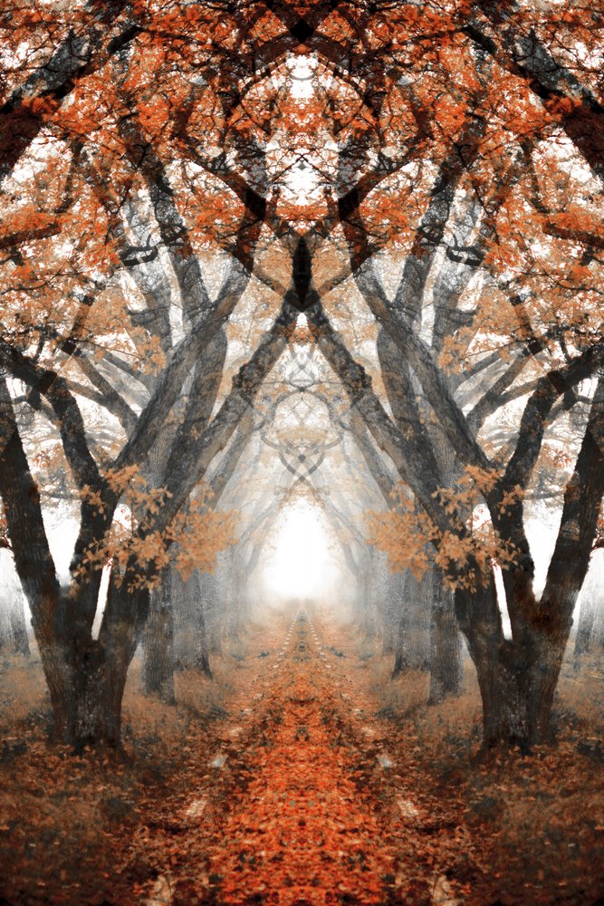 Sentiero autunnale nella nebbia da Christina Sillen
