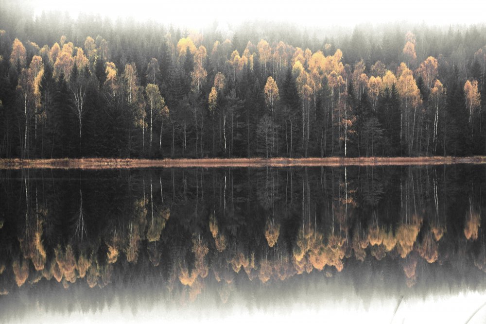 Riflesso autunnale nella nebbia da Christina Sillen