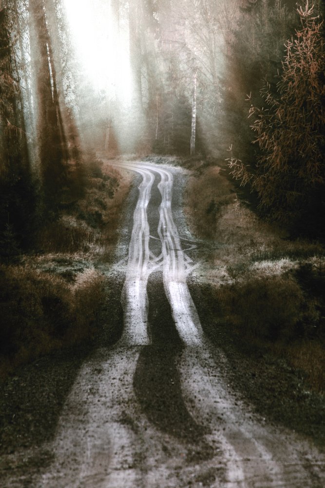 Strada nella foresta nebbiosa da Christina Sillen