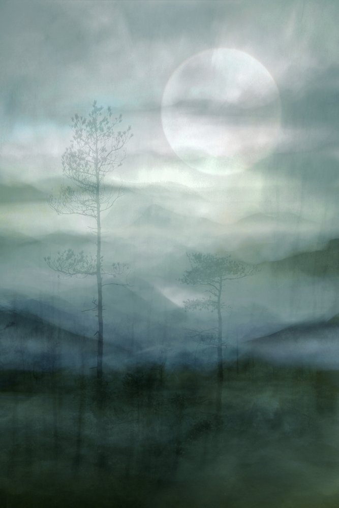 Foresta avvolta dalla nebbia al chiaro di luna da Christina Sillen