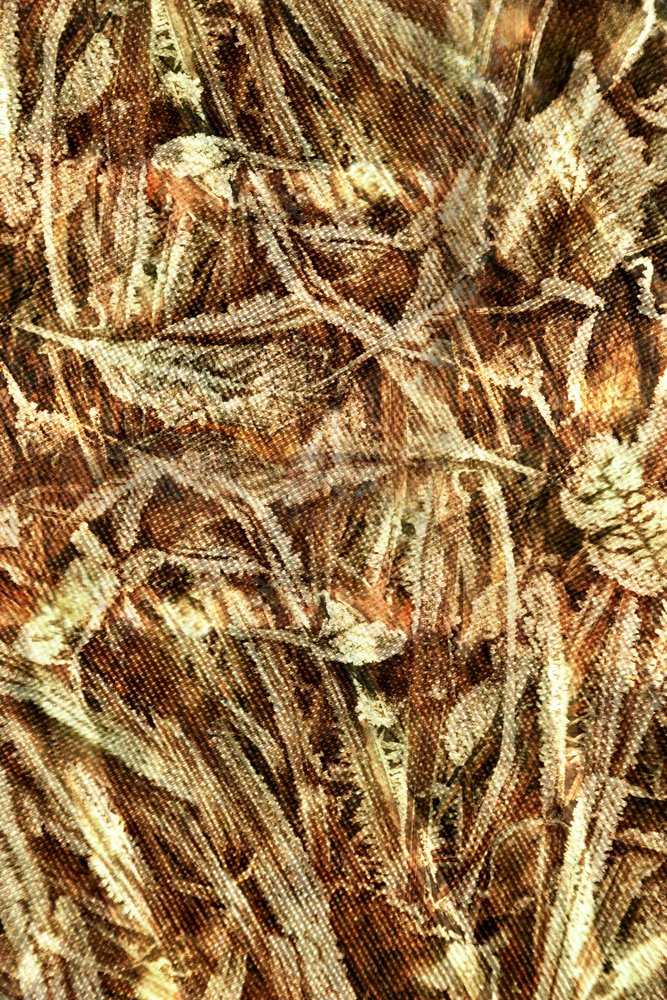 Motivo mimetico naturale da Christina Sillen