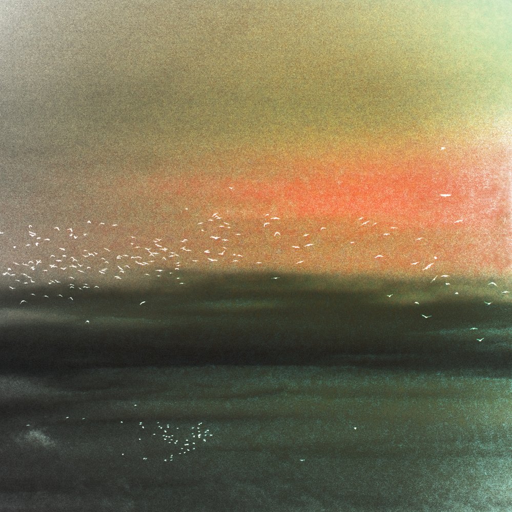 Uccelli marini e cielo rosso da Christina Sillen