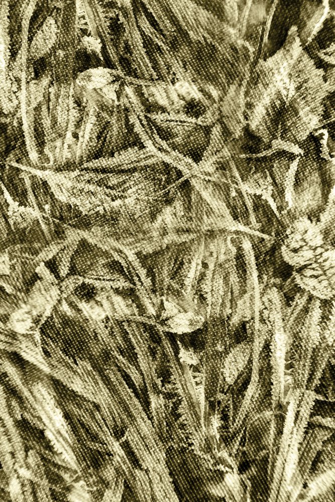 Texture foglia rustica da Christina Sillen