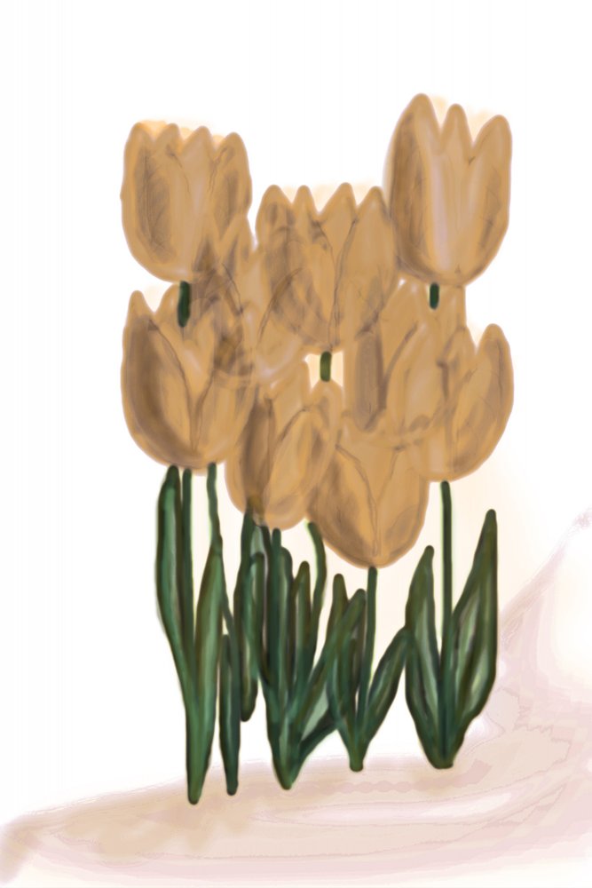 Tulipani beige chiaro da Christina Sillen