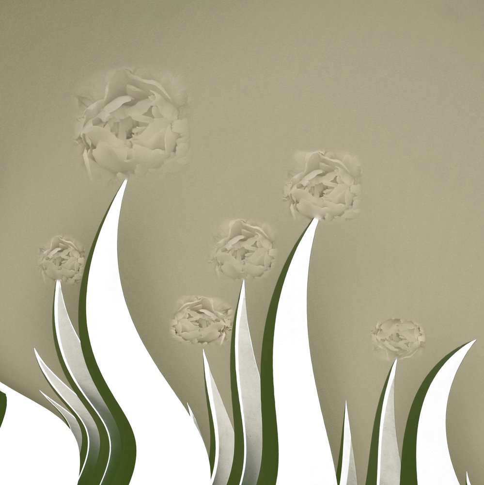 Delicate fioriture color crema da Christina Sillen