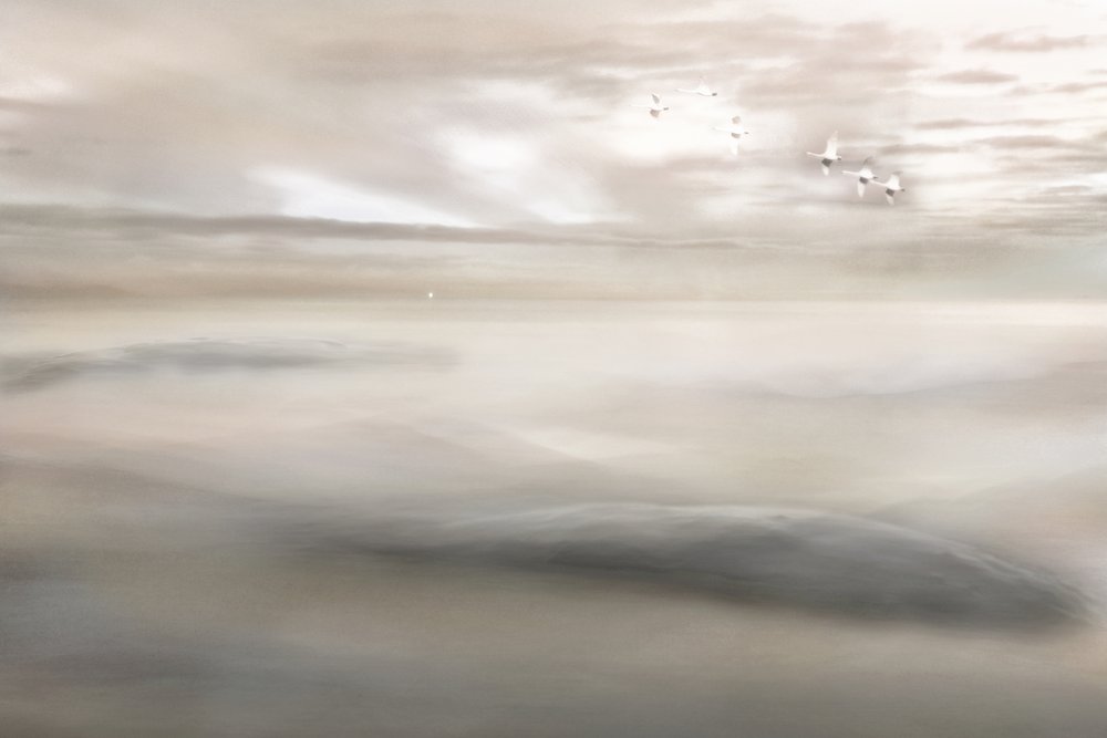 Canto del cigno nella nebbia da Christina Sillen