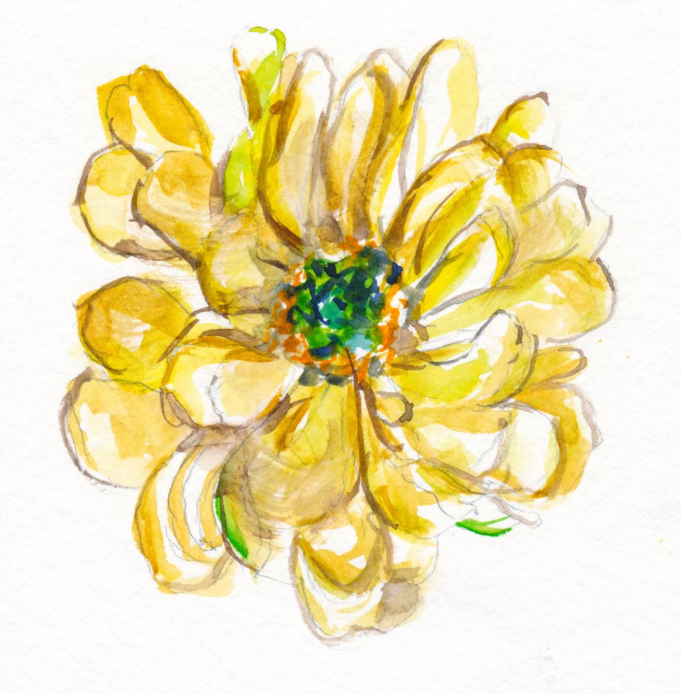 Delicato fiore giallo da Christine Lindstrom