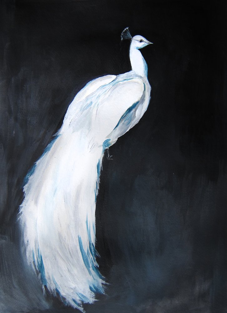 Elegante pavone bianco da Christine Lindstrom