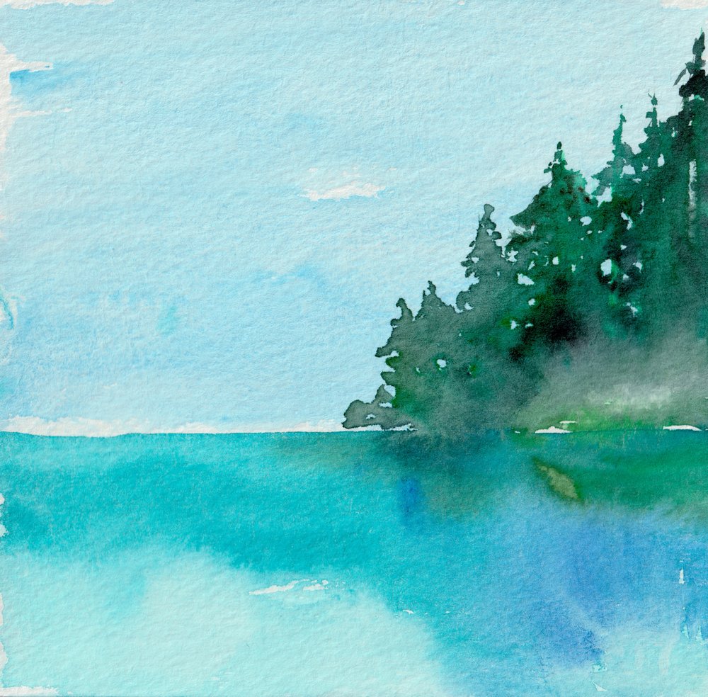 Riflesso nella foresta serena da Christine Lindstrom
