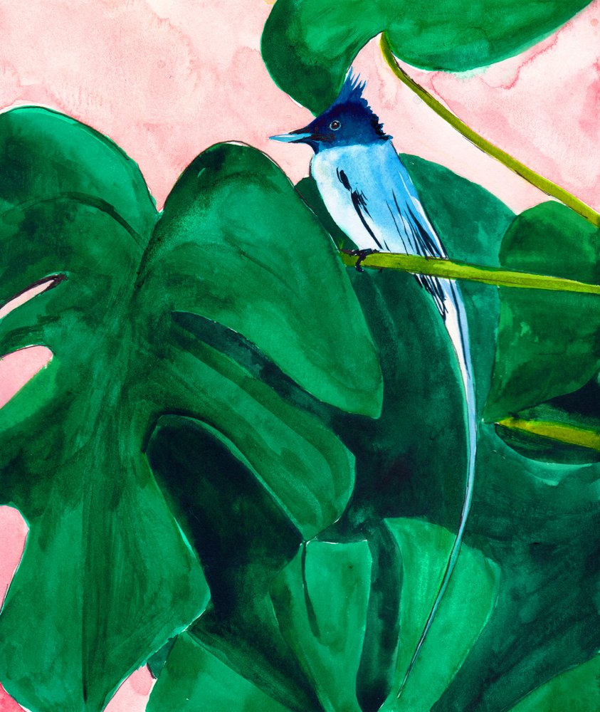 Foglia di Monstera "Tropical Bird" da Christine Lindstrom